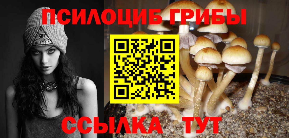 Псилоцибиновые грибы мухоморы Архангельск